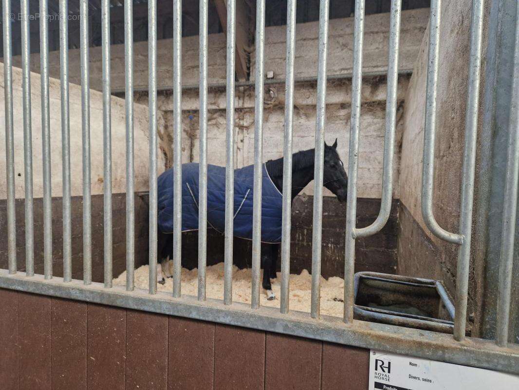 Maison à LA CHAPELLE-SUR-ERDRE