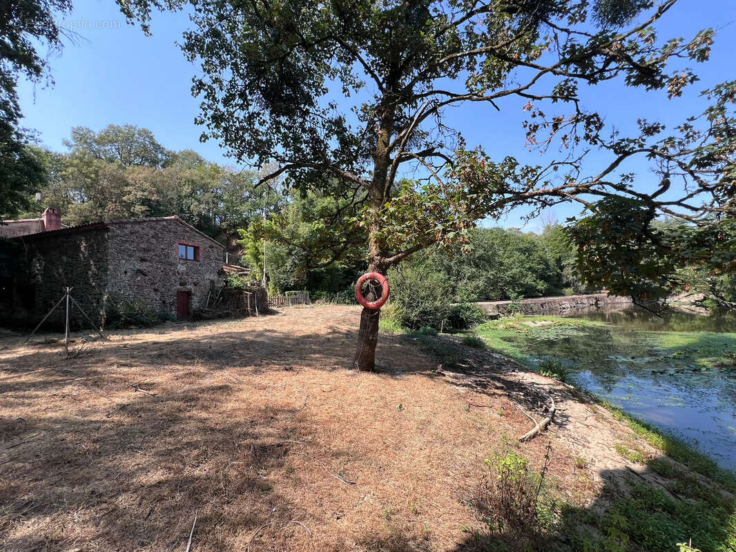 Maison en pierre, 3 chambres, terrain à perte de vue - photo 9