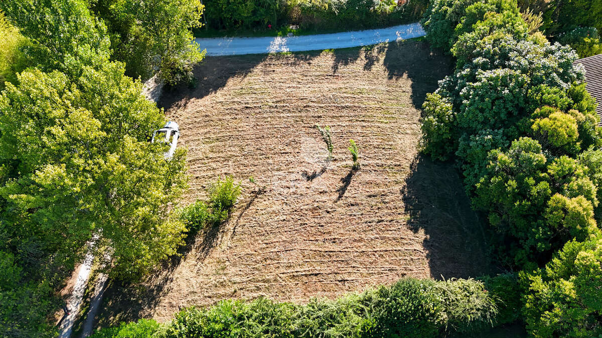 Terrain à SAINT-REMY-DE-PROVENCE