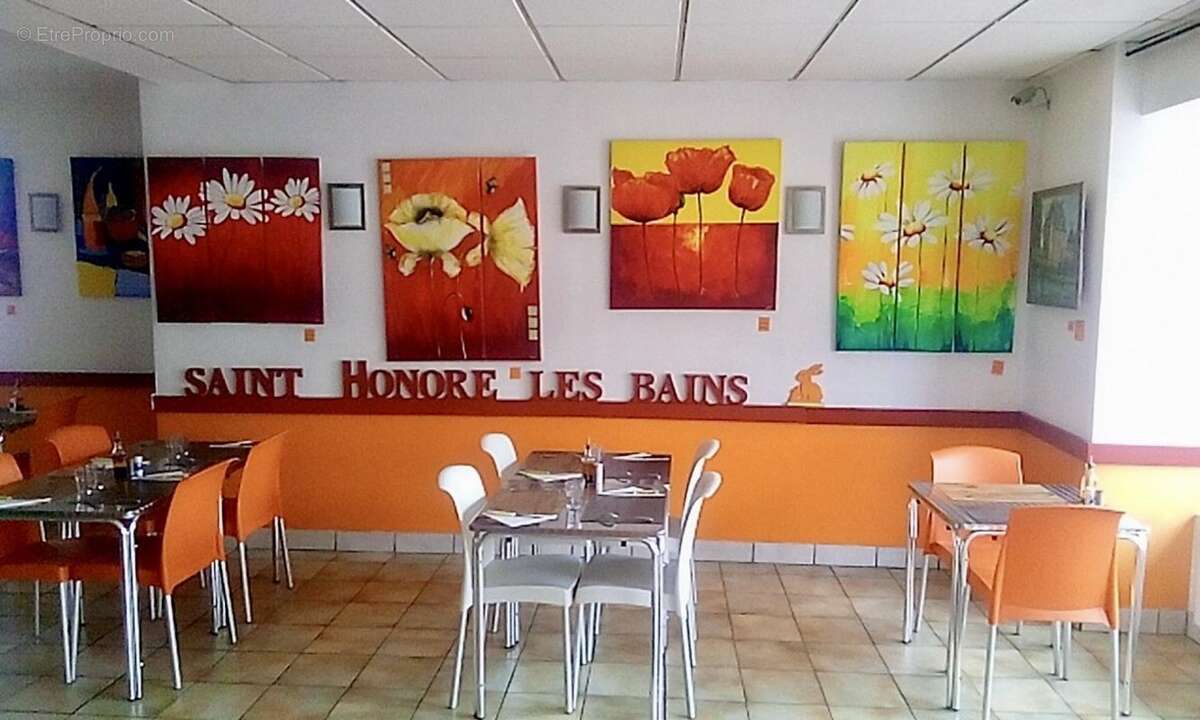 Commerce à SAINT-HONORE-LES-BAINS