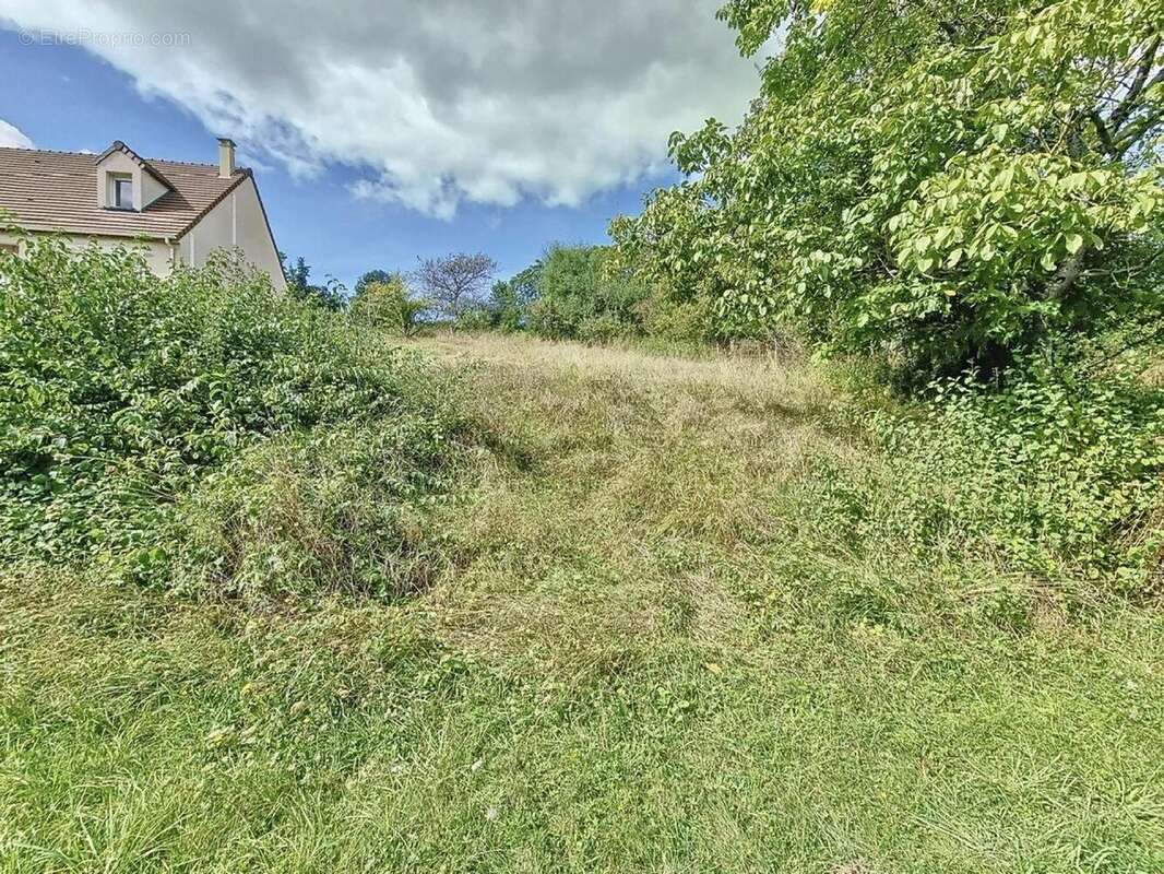 Photo 3 - Terrain à JOIGNY