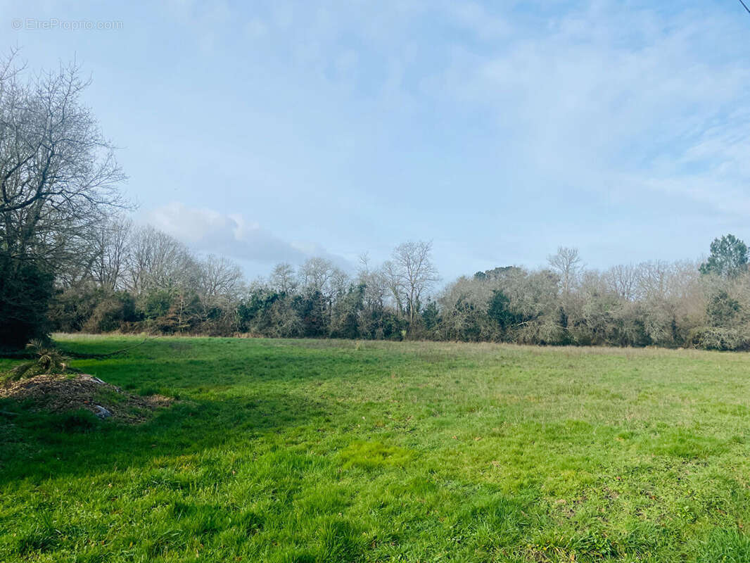 Maison à NOTRE-DAME-DE-RIEZ