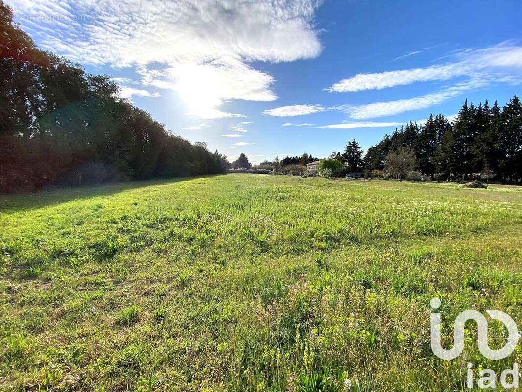 Photo 7 - Maison à L'ISLE-SUR-LA-SORGUE