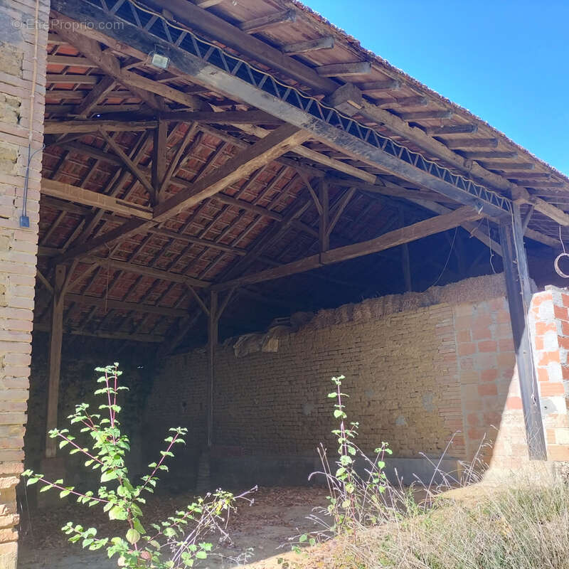 Maison à SAUVETERRE