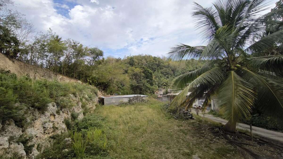 Terrain à LE GOSIER