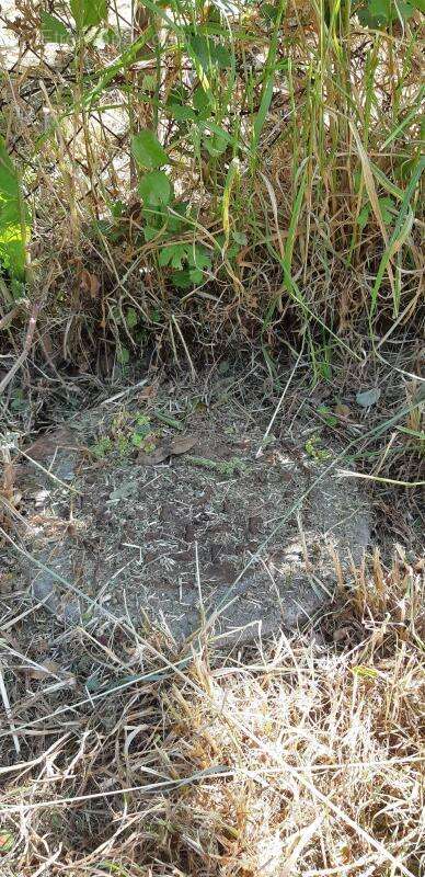 Terrain à SAINT-JULIEN-DE-VOUVANTES