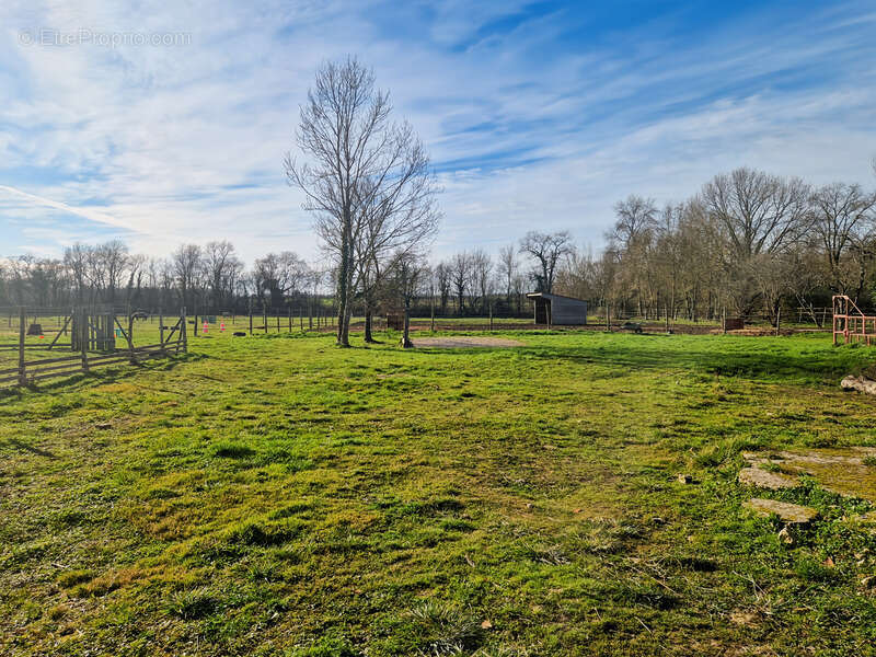 Maison à SAINT-JEAN-D'ANGELY