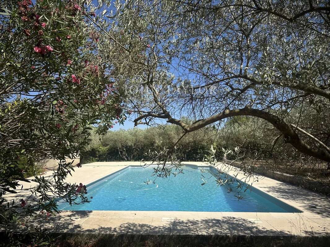 Maison à SAINT-REMY-DE-PROVENCE