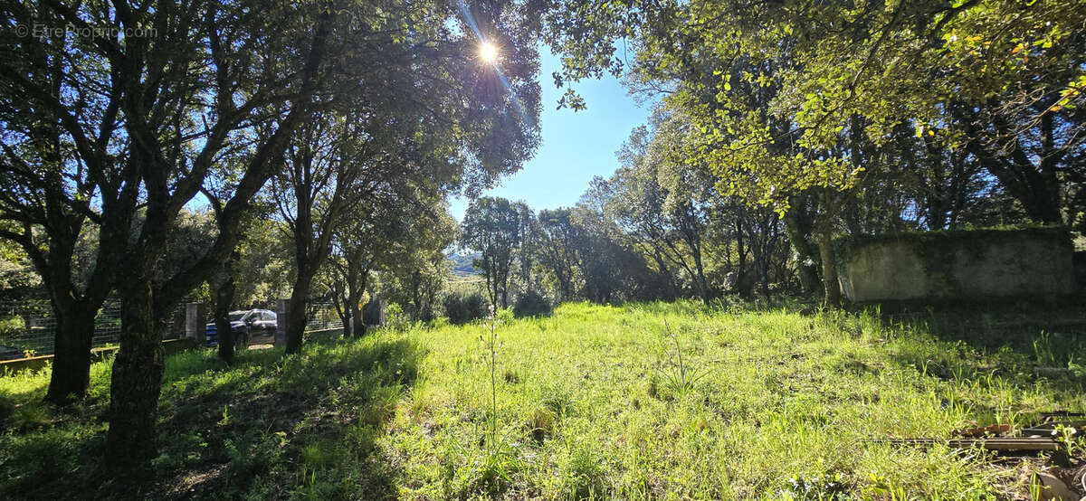 Terrain à GIUNCHETO