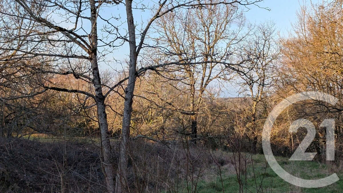 Terrain à BEAUVILLE