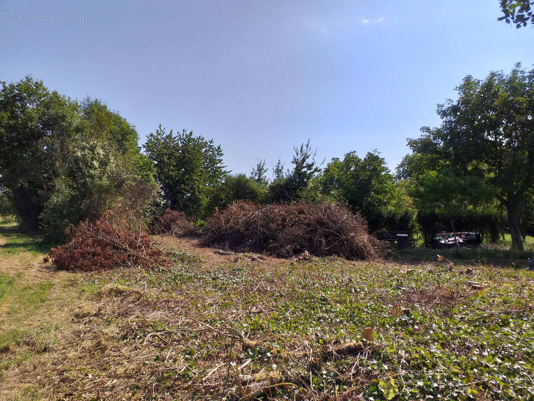 Terrain à VILLERS-COTTERETS