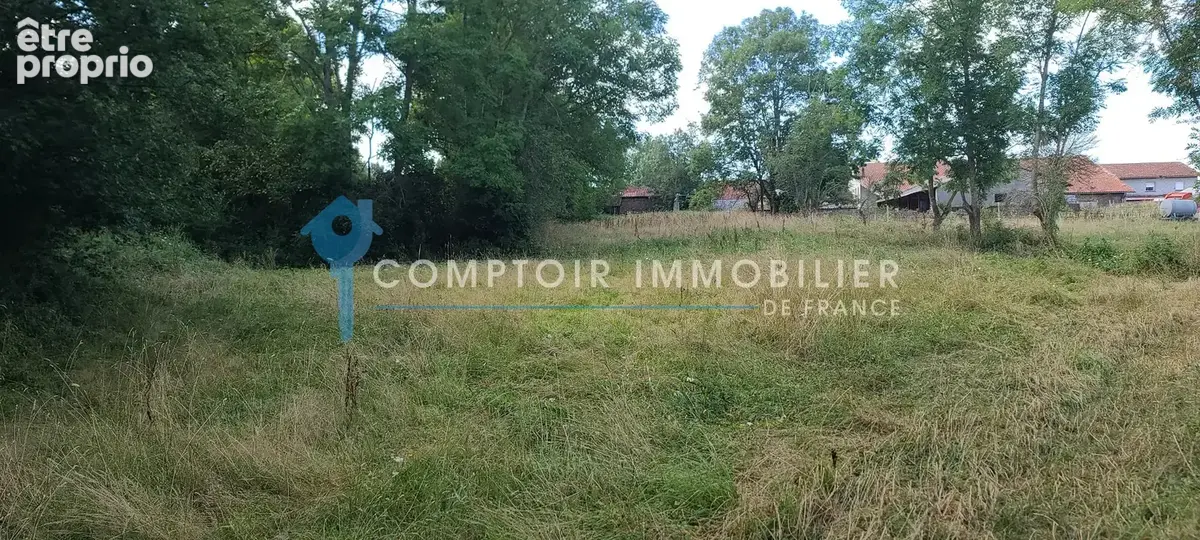 Dpt Haute Garonne31- A vendre Villeneuve Lecussan 31580- Maison T3 type ferme Commingeaoise sur 3430 m2 de par - photo 2