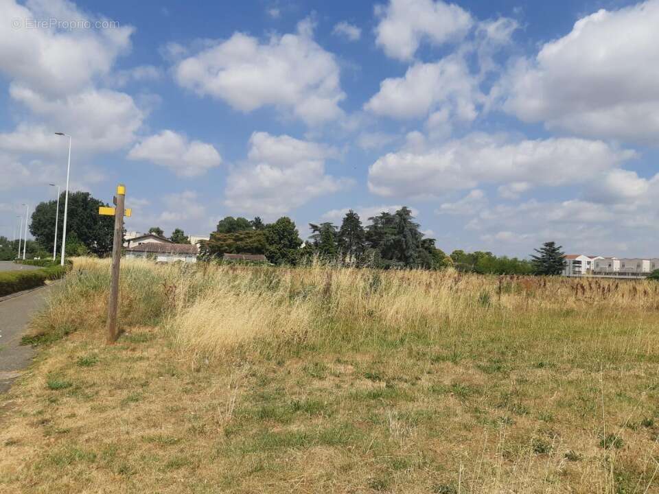 Terrain 500 m² à Gagnac-Sur-Garonne  - photo 2