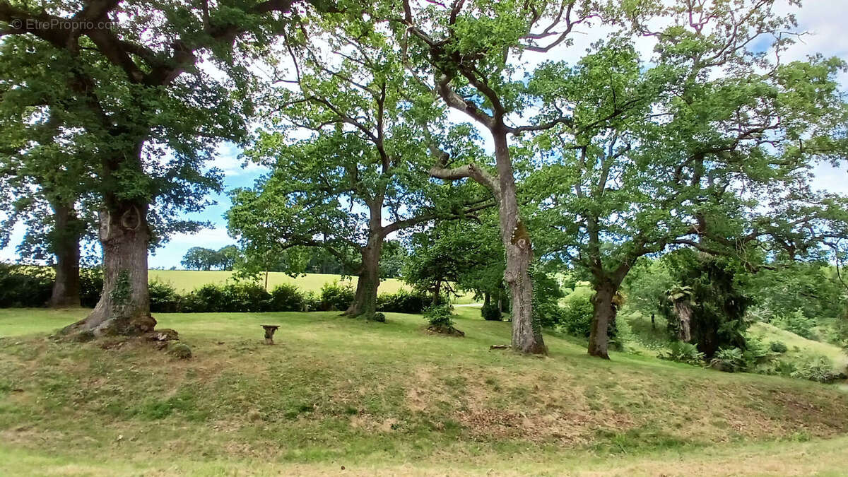 Propriété de caractère avec étang sur plus de 4 hectares - photo 14