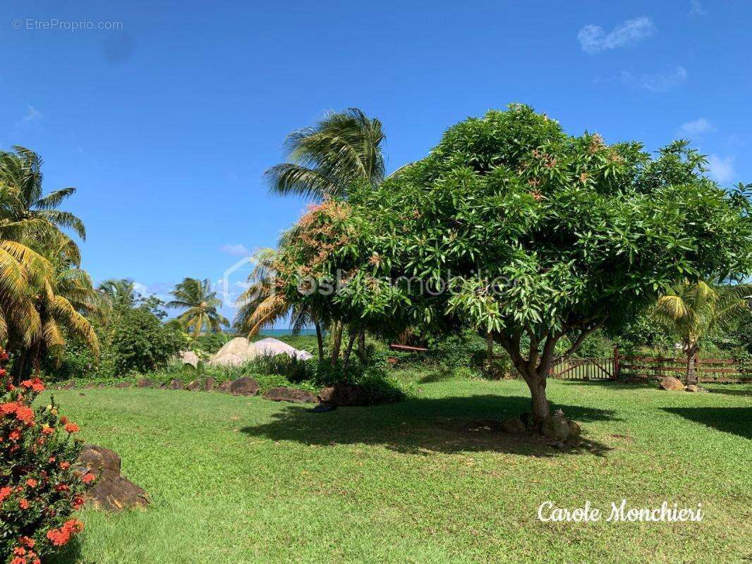 Maison à SAINTE-ROSE