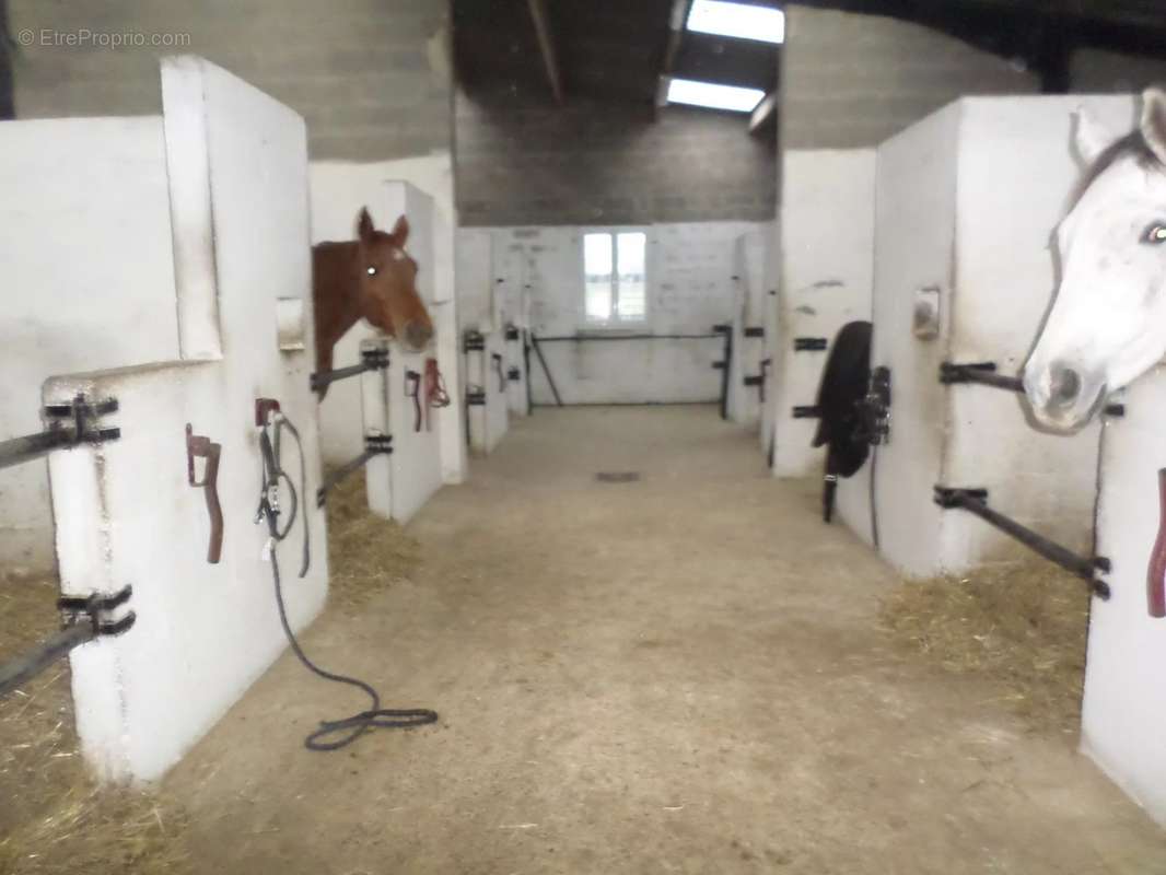 Maison à SAINT-MARTIN-CHOQUEL