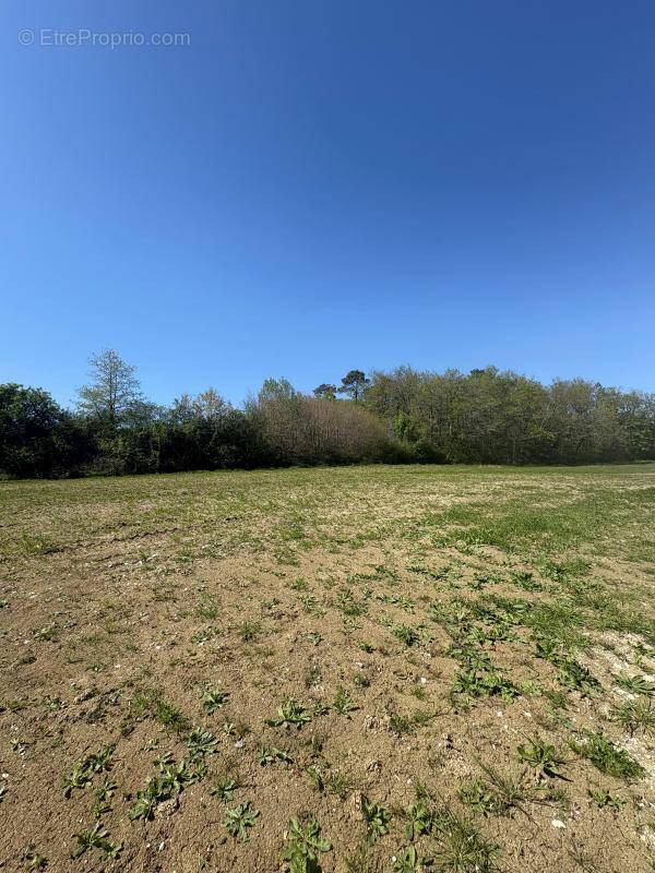 Terrain à MONESTIER