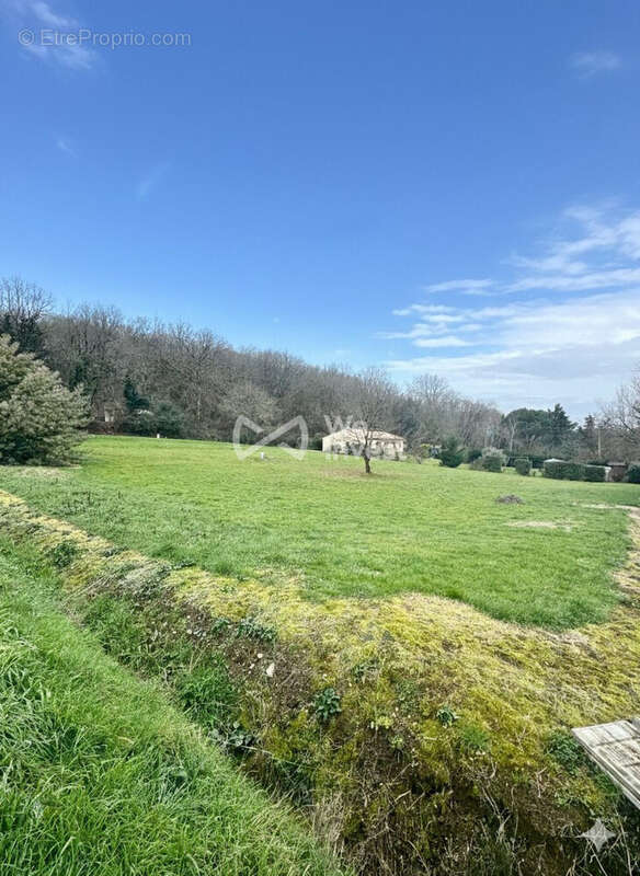 Terrain à SAINT-AIGNAN