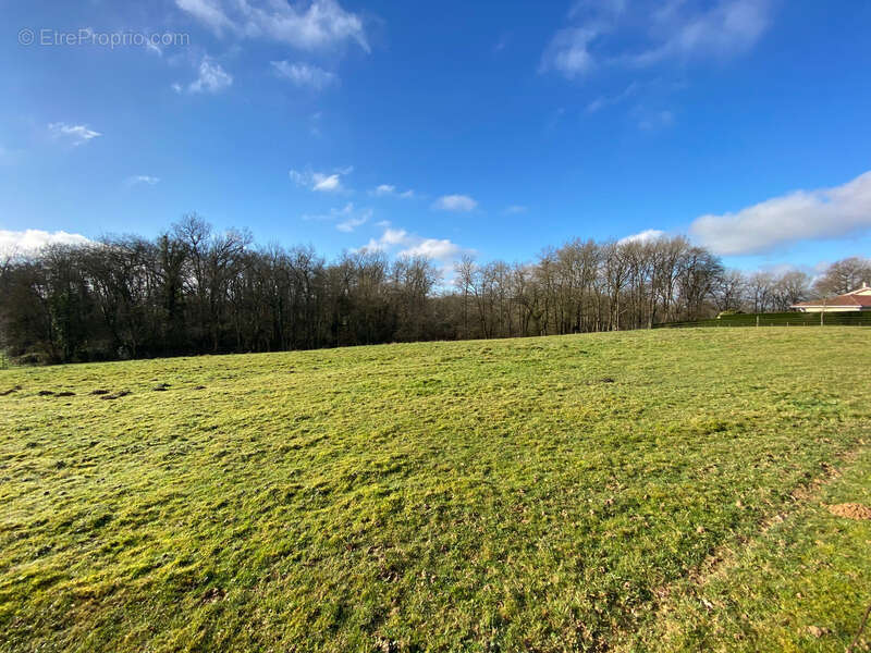 Terrain à BARCELONNE-DU-GERS