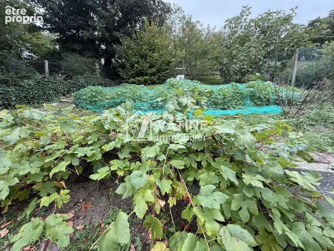 La maison des vignes marines - photo 22
