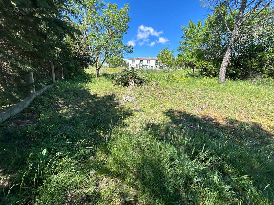 Terrain à VILLEFLOURE