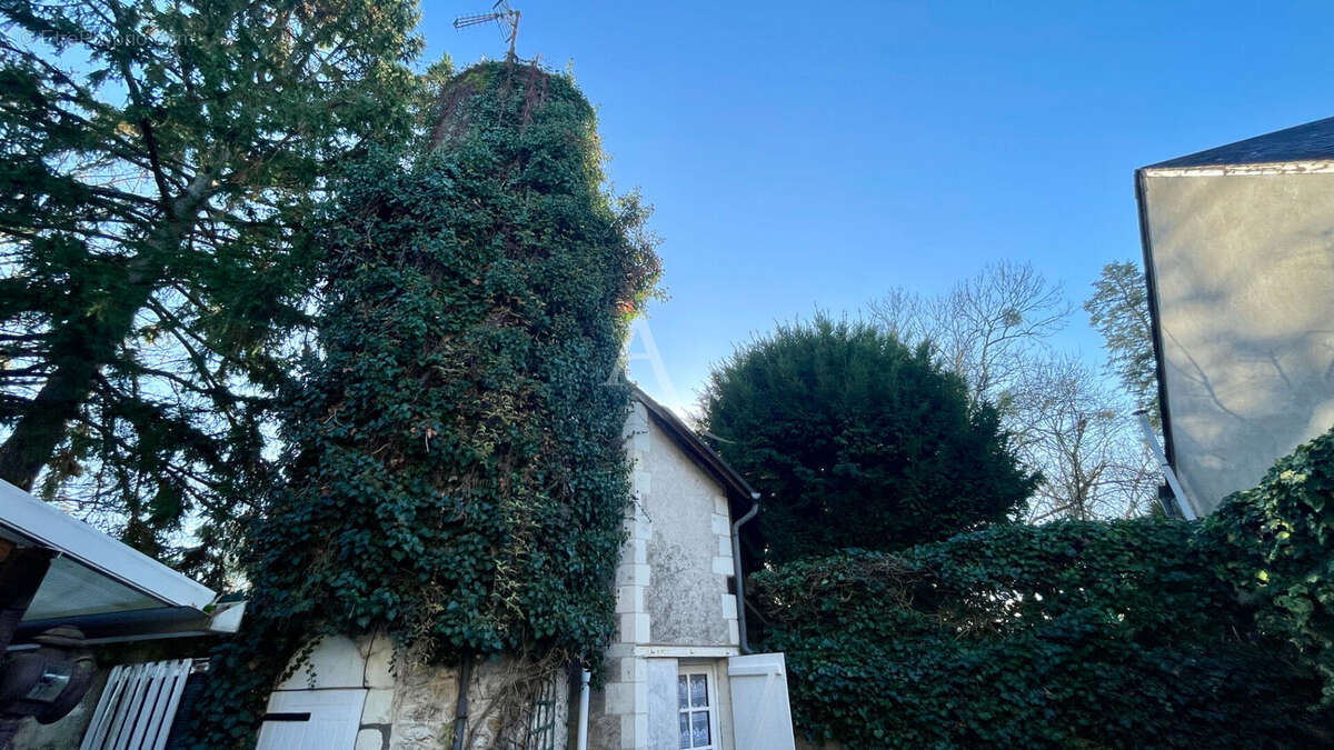 Maison à SAINT-AVERTIN