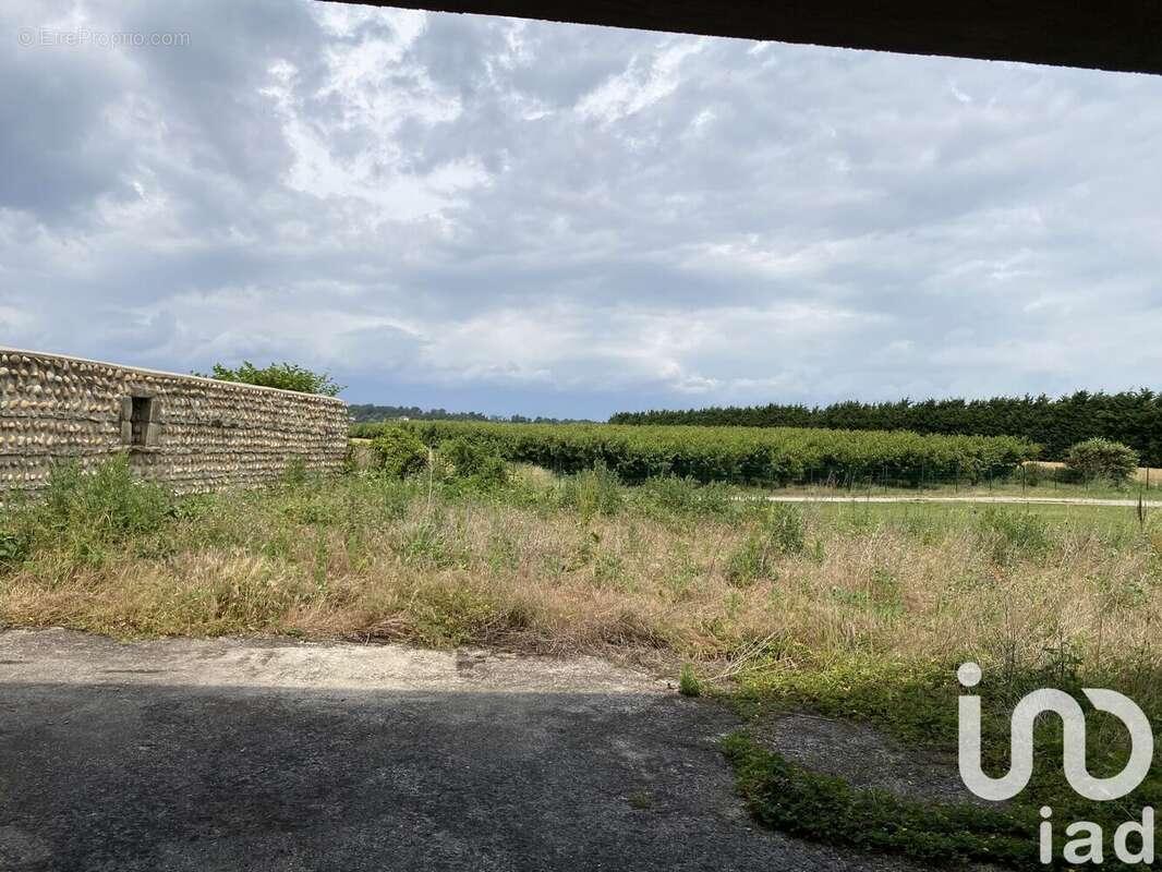 Photo 4 - Maison à CHATEAUNEUF-SUR-ISERE