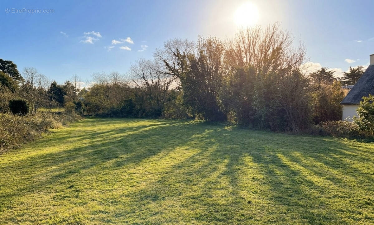 Terrain à LA TURBALLE