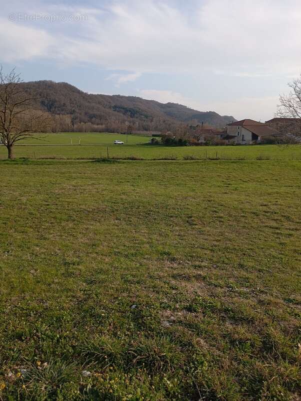 Terrain à MUREILS
