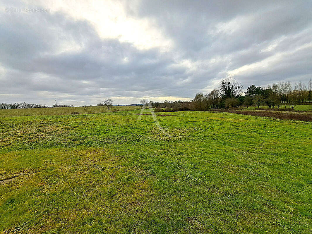 Maison à LES ESSARTS