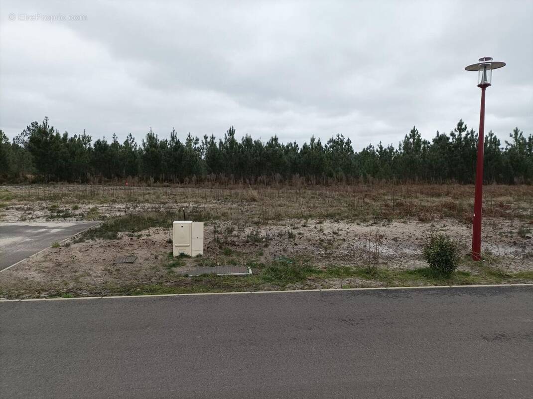 Terrain à PARENTIS-EN-BORN