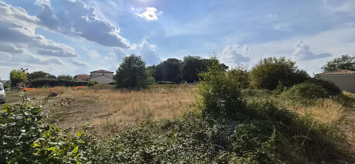 Quinçay   chambon  terrain à bâtir - photo 2