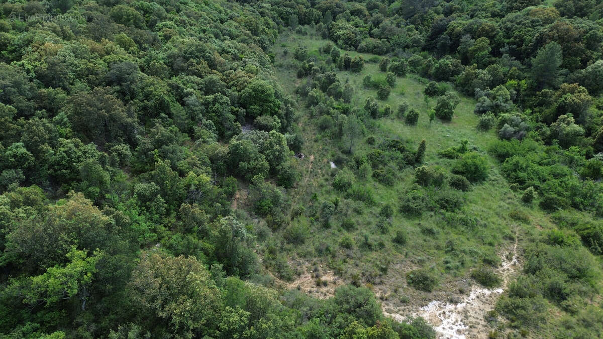 Terrain à PUECHABON