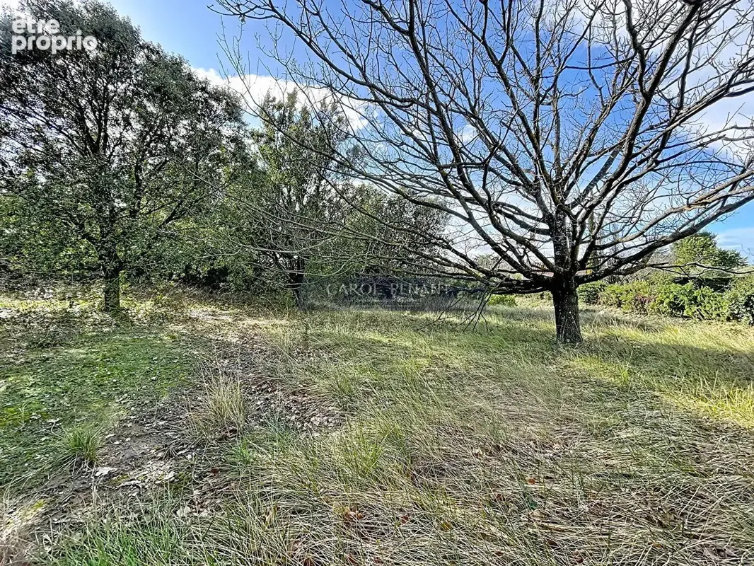 Mazan lot1 terrain a batir 672m² viabilise libre constructeur - photo 8