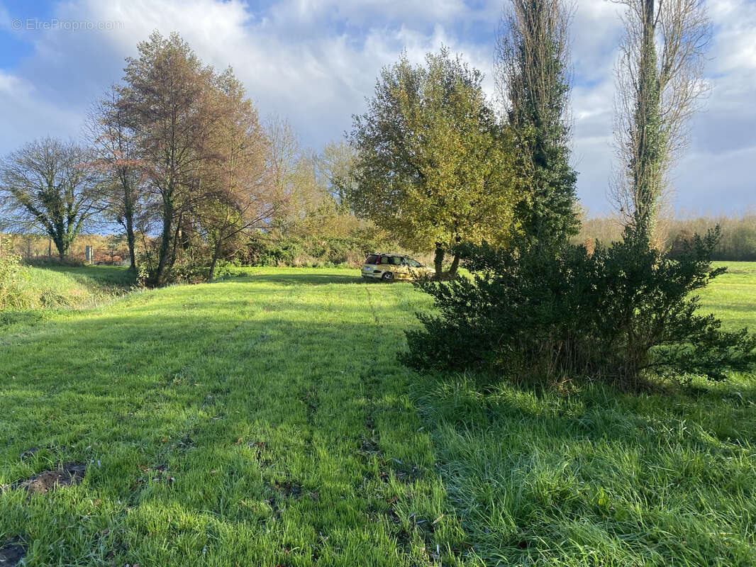 Maison à VERNANTES