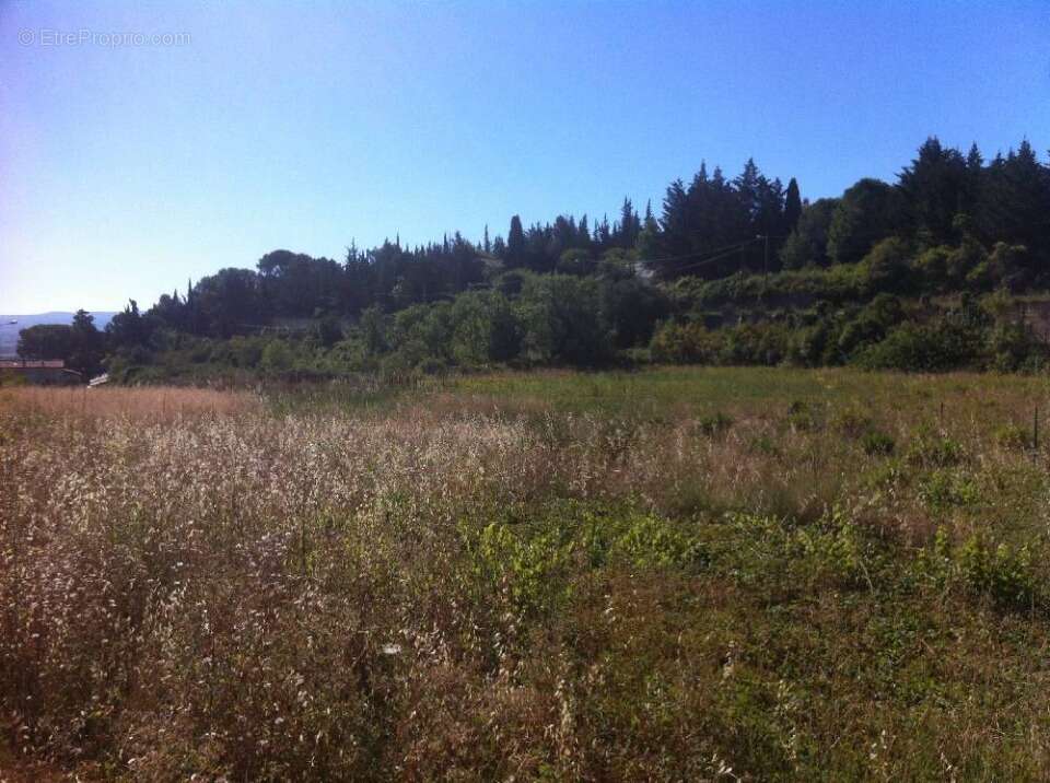 Terrain à CLERMONT-L'HERAULT