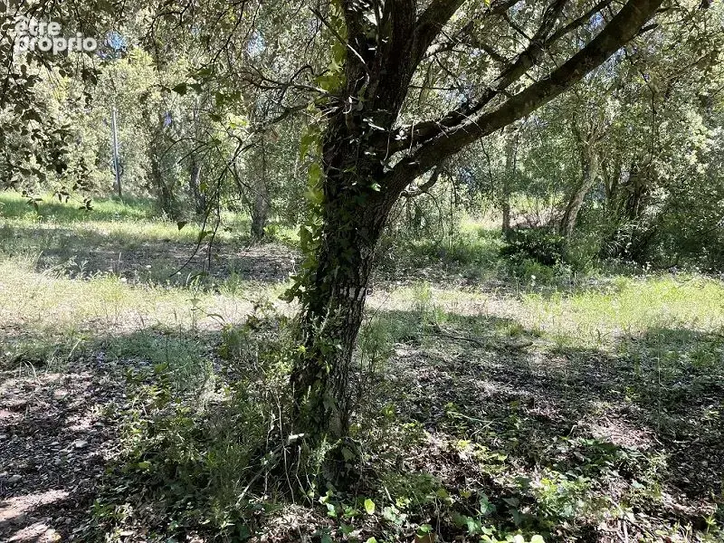 Terrain 1 932 m² à vendre à Les Cluses (66480) - photo 3