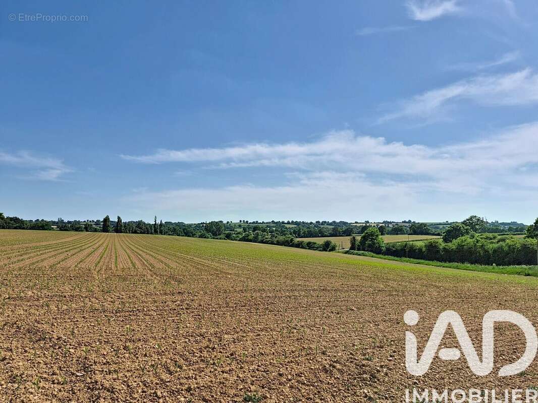 Photo 6 - Maison à CHEMILLE