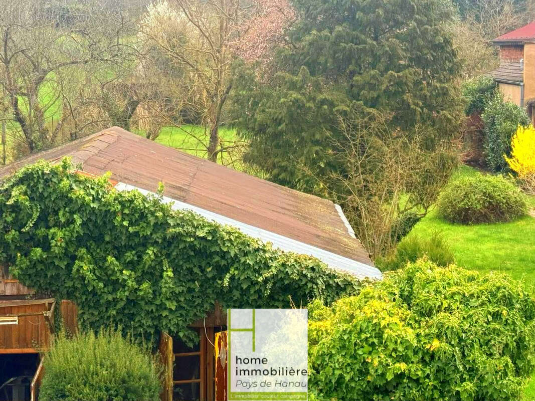 Maison à INGWILLER