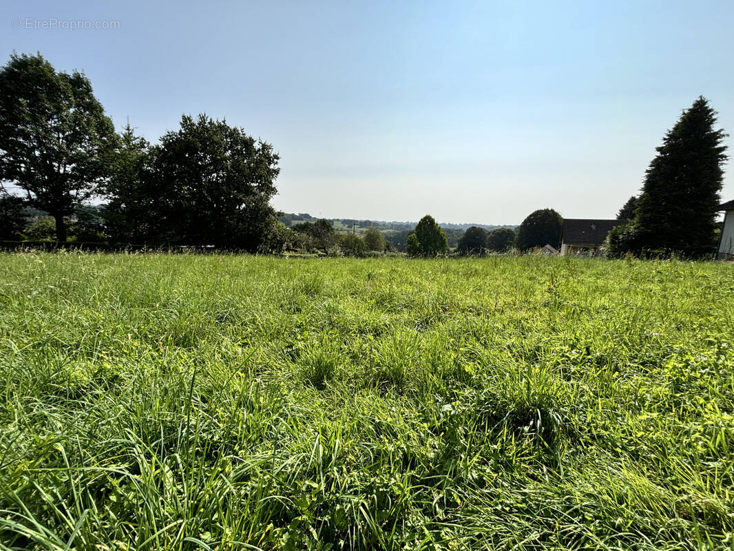 Terrain à SAINT-JAL