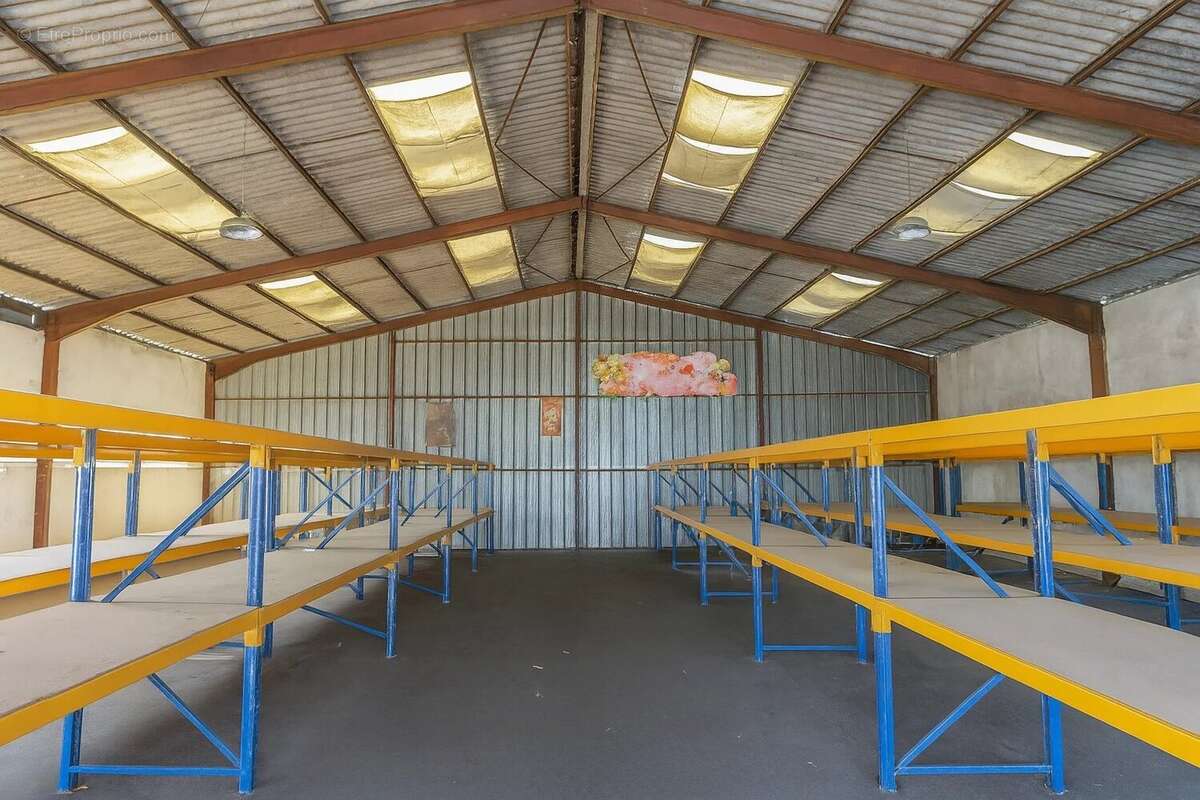 ENTREPOT AUCH 800 M2 plus maison 200 M2 - photo 3