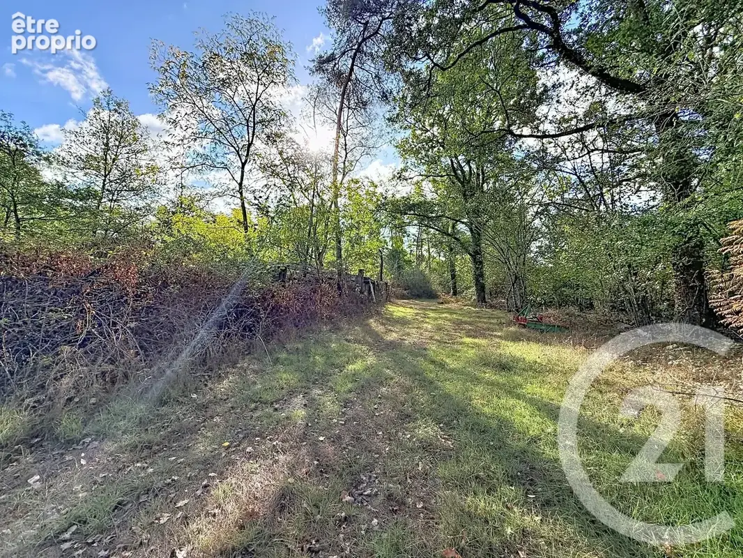 Terrain 80 605 m² à vendre à Chaon (41600) - photo 3