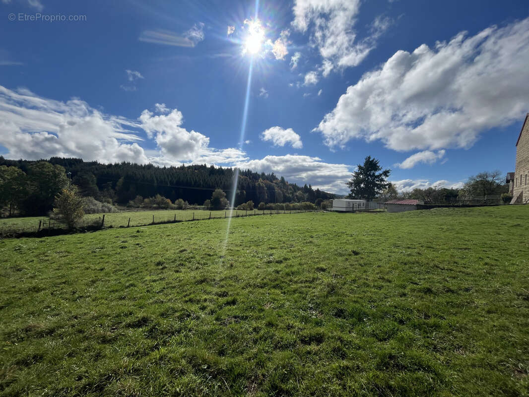 Terrain à MERLE-LEIGNEC