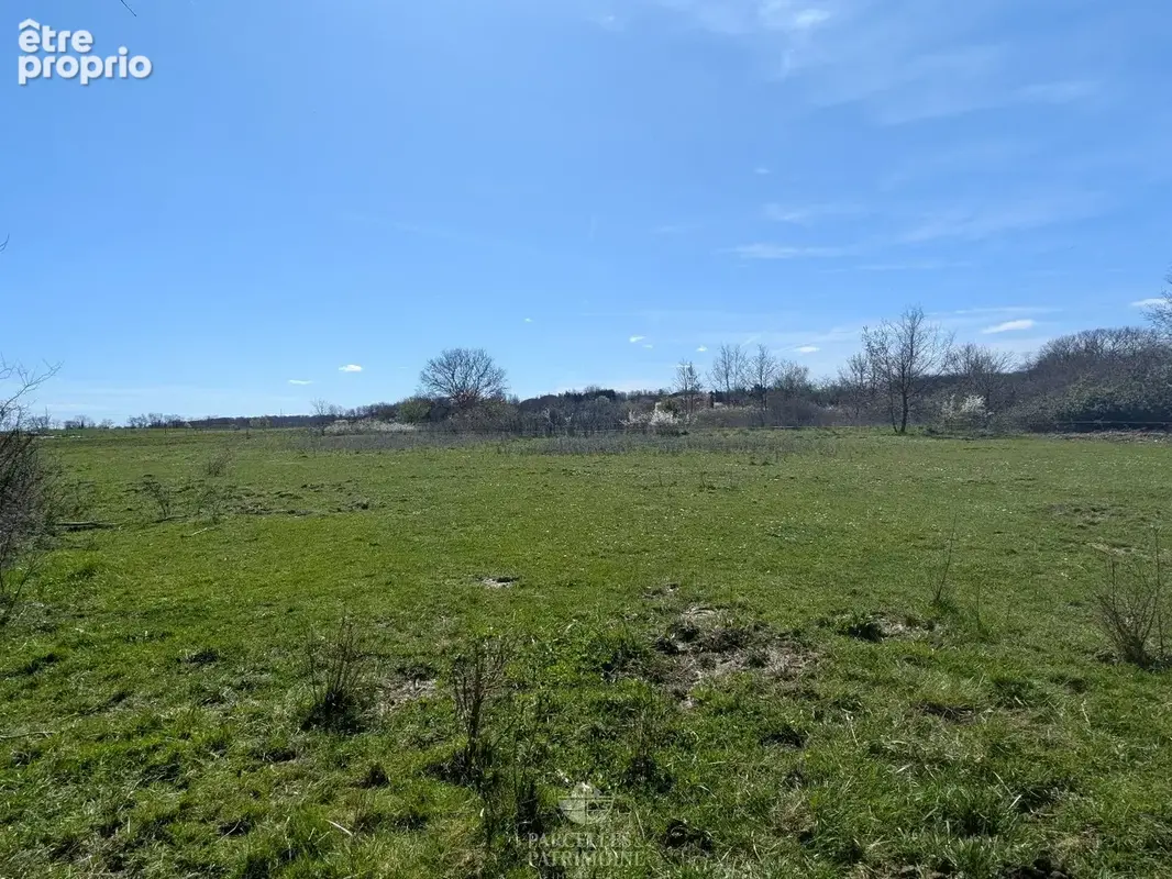 Exclusivité Terrain viabilisé quartier résidentiel 3 418m² - photo 2
