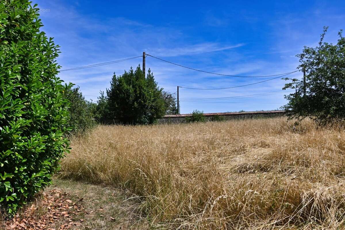 À vendre Aubigny : Projet de rénovation de rêve - photo 46