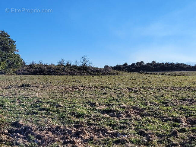Terrain à MONTESQUIEU-DES-ALBERES