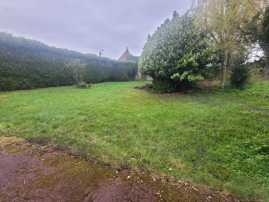 Maison à COURCELLES-LES-LENS