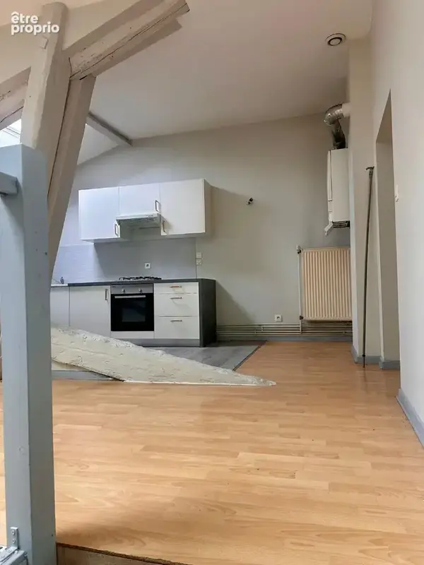 Appartement  4 pièces  - 93 M² - Quai PAJOT  - Vienne - photo 2