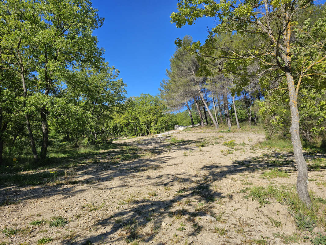 Terrain à LA ROQUE-D'ANTHERON
