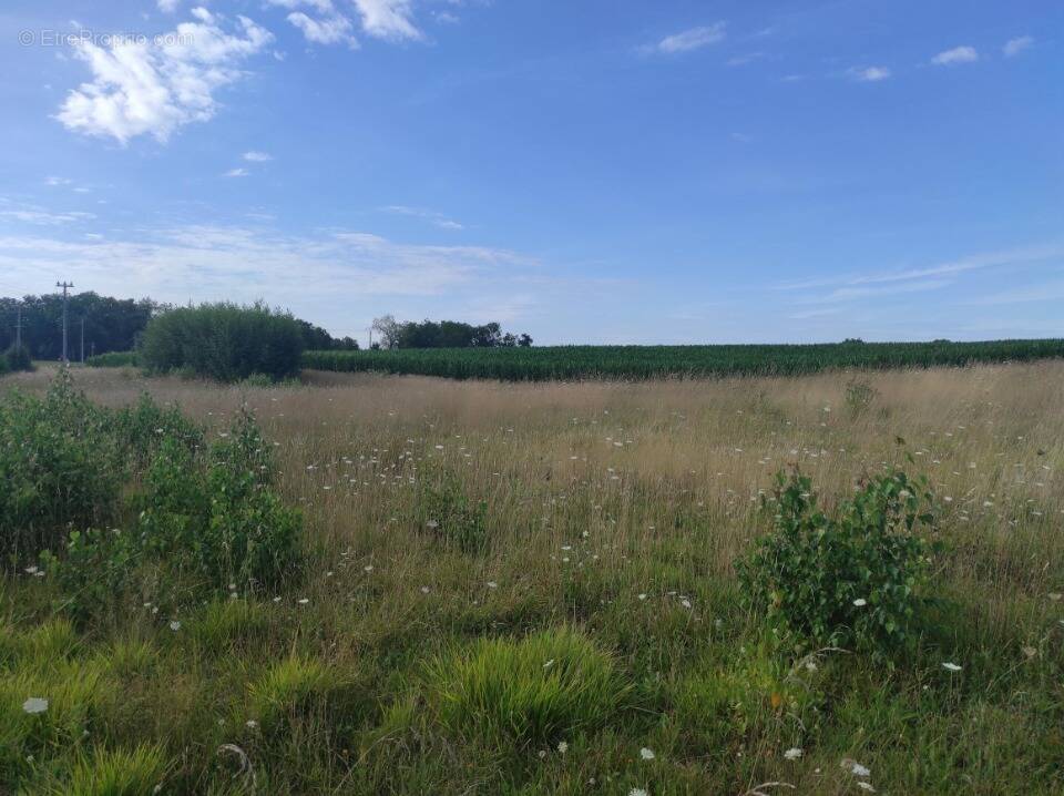 Terrain à BENNECOURT